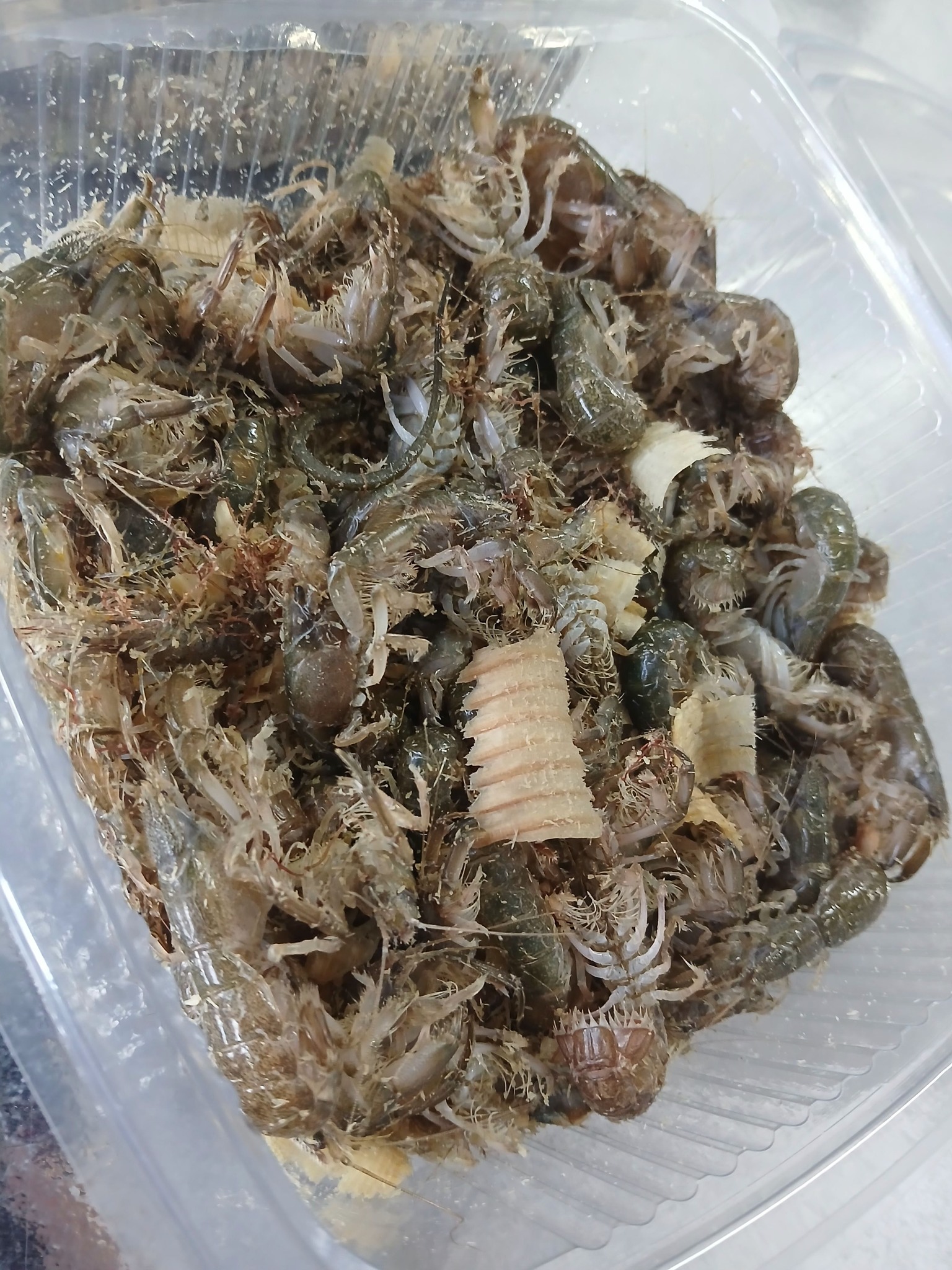 belegrinos-marine-store-new-33