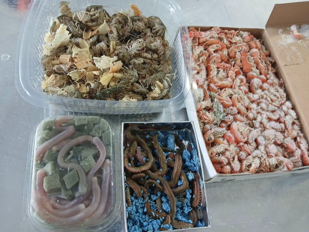 belegrinos-marine-store-new-39