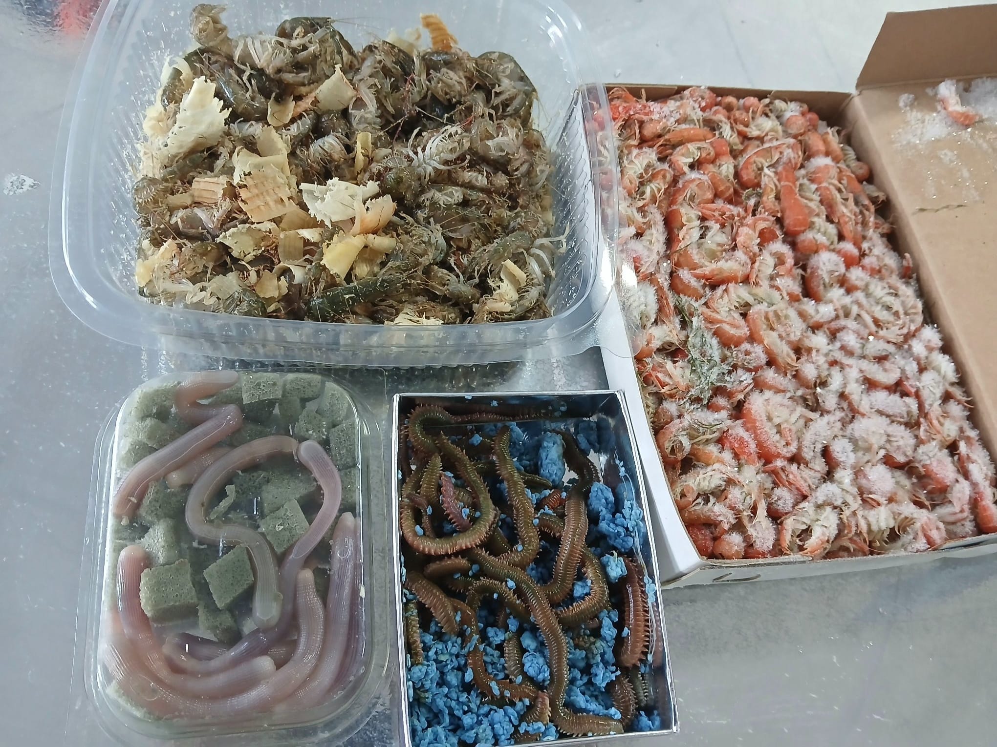 belegrinos-marine-store-new-39