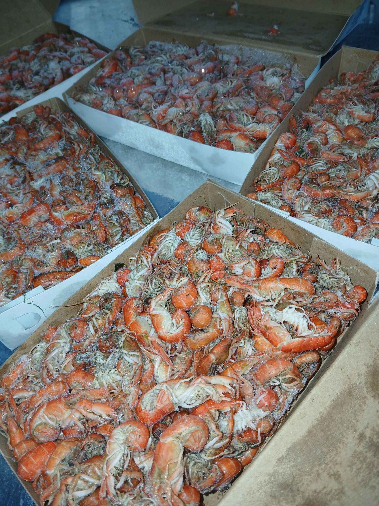 belegrinos-marine-store-new-41